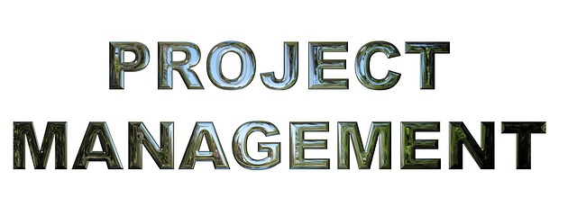 project-management